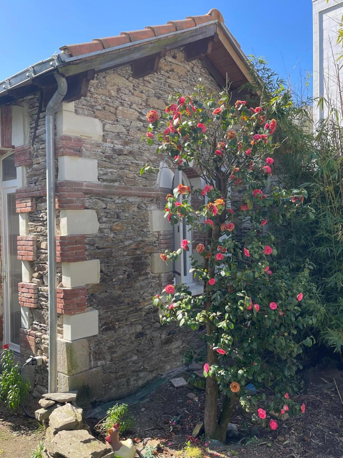 Logement Entier - La Laiterie De La Plume Nantes Exteriér fotografie